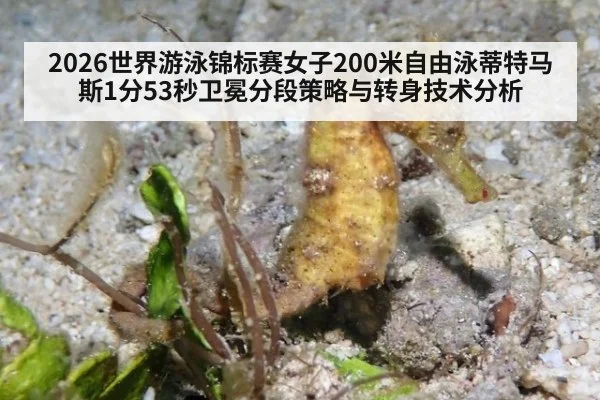 2026世界游泳锦标赛女子200米自由泳蒂特马斯1分53秒卫冕分段策略与转身技术分析