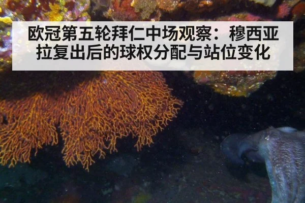 欧冠第五轮拜仁中场观察：穆西亚拉复出后的球权分配与站位变化